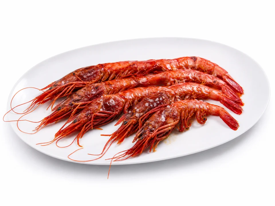 Gegrilde rode gamba van Dénia op een witte achtergrond